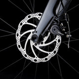 Trek Domane AL 2 Gen 4 Crimson To Dark Carmine Fade