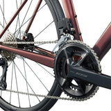 Liv Langma Advanced 1 Mechanic Rose