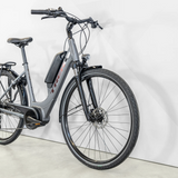 Trek Verve+ 1 Lowstep DT Grey 400wh