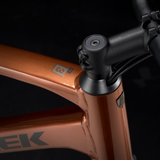 Trek Dual Sport 3 Gen 5 Pennyflake