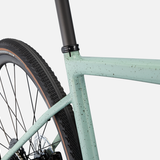 Specialized Diverge Sport Carbon sage Gravelbike