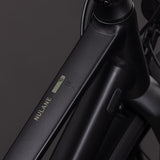 Cube Nulane Pro FE Trapeze grey´n´chrome