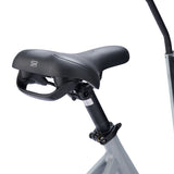 E-Fly Cargo MD Earth Stone Ladcykel