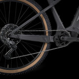 Trek Powerfly+ 4 Gen 5 Dark Web