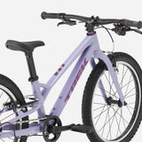 TREK Wahoo 20" Path Lavender Haze
