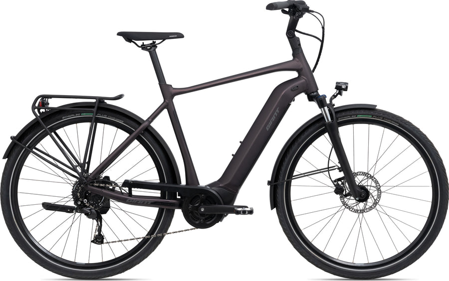 Giant DailyTour E+ 3 GTS Dash Rosewood