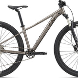 Giant Liv Tempt 29" 0 Metal