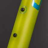 Cube Acid 240 Disc Lizard n Blue 24"