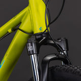 Cube Acid 240 Disc Lizard n Blue 24"