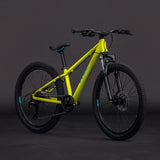 Cube Acid 240 Disc Lizard n Blue 24"