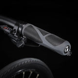 Trek Dual Sport 2 sort Hybridcykel