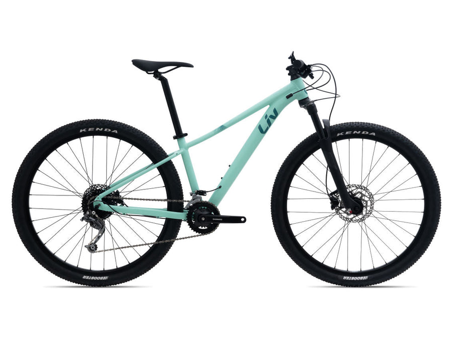 Giant Tempt 29" 2 ocean wave Mountainbike